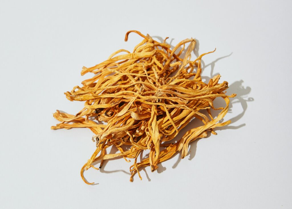 benefits of cordyceps